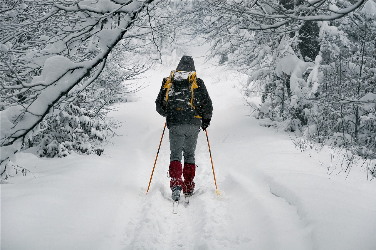 游客少气温高，韩国滑雪旅游业面临困境